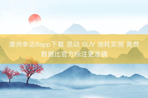 澳洲幸運8app下載 混動 SUV 油耗實測 竟然數據比官方標注更準確