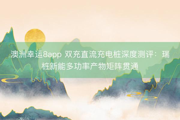 澳洲幸運(yùn)8app 雙充直流充電樁深度測(cè)評(píng)：瑞樁新能多功率產(chǎn)物矩陣貫通