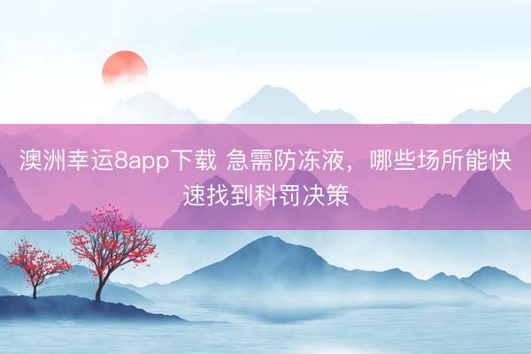 澳洲幸運8app下載 急需防凍液，哪些場所能快速找到科罰決策