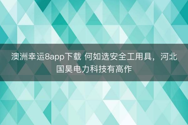 澳洲幸運(yùn)8app下載 何如選安全工用具，河北國(guó)昊電力科技有高作