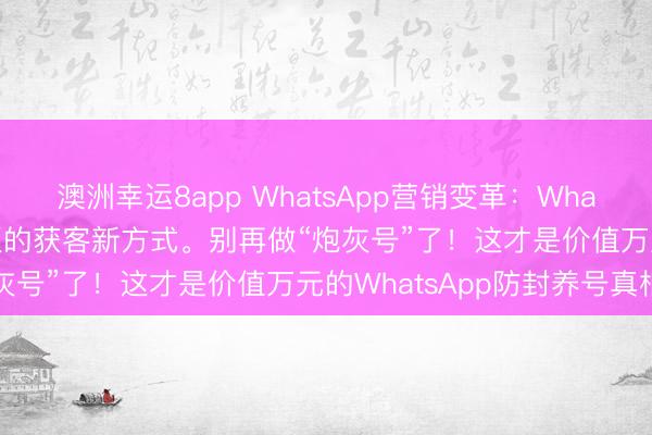 澳洲幸運(yùn)8app WhatsApp營(yíng)銷變革:WhatsApp磐石系統(tǒng)外貿(mào)老板的獲客新方式。別再做“炮灰號(hào)”了!這才是價(jià)值萬元的WhatsApp防封養(yǎng)號(hào)真相